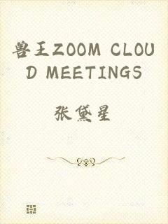 兽王ZOOM CLOUD MEETINGS